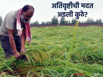 अतिवृष्टीची मदत अडली कुठे? तीन महिने तरी शेतकऱ्यांना दिलासा नाही - Marathi News | latest news Where is the relief for heavy rains? No relief for farmers for three months | Latest News at Lokmat.com
