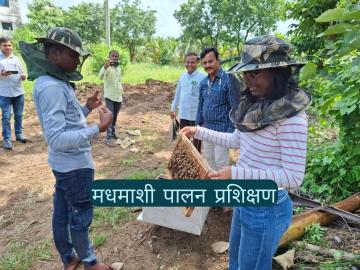 शुद्ध मधाची काढणीपासून ते पॅकेजिंग लेबलिंगपर्यंत, मधमाशी पालन प्रशिक्षण संपन्न - Marathi News | Latest news Seven-day beekeeping training completed at Krishi Vigyan Kendra, Tondapur | Latest News at Lokmat.com