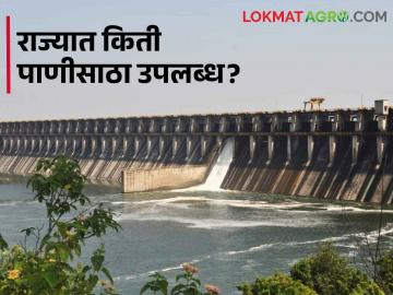 Maharashtra Dam Storage : राज्यातील कोणत्या धरणात किती पाणी शिल्लक, जाणून घ्या सविस्तर - Marathi News | Latest News Todays Maharashtra dam storage data check daily dam water storage | Latest News at Lokmat.com