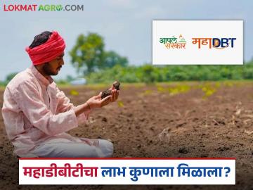 Mahadbt Labharthi : तुमच्या गावात महाडीबीटी योजनेचा लाभ कुणाला मिळाला? हे कसे पाहाल? - Marathi News | latest news Who has benefited from MahaDBT scheme in your village How do you see this? | Latest News at Lokmat.com Mahadbt Labharthi : तुमच्या गावात महाडीबीटी योजनेचा लाभ कुणाला मिळाला? हे कसे पाहाल? - Marathi News | latest news Who has benefited from MahaDBT scheme in your village How do you see this? | Latest News at Lokmat.com