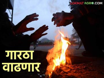 उत्तर भारतातून पुन्हा थंड वाऱ्याला सुरुवात; राज्याच्या 'ह्या' भागात पुन्हा थंडीचा कडाका वाढणार - Marathi News | Cold winds start blowing again from North India; Cold will intensify again in 'this' part of the state | Latest weather News at Lokmat.com
