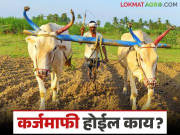 Karjmafi : कर्जमाफीचं उत्तर आलं; थेट शेतकऱ्यांना मदत करायचे सोडून बँकांना मदत करायची का? - Marathi News | Karjmafi: The answer to loan waiver has arrived; Should we help banks instead of helping farmers directly? | Latest News at Lokmat.com