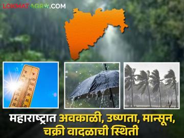 Maharashtra Weather Forecast : महाराष्ट्रात अवकाळी, उष्णता, मान्सून, चक्री वादळाची स्थिती, वाचा एका क्लिकवर   - Marathi News | Latest news Unseasonal weather, heat, monsoon, cyclonic storm status in Maharashtra, read in one click   | Latest News at Lokmat.com
