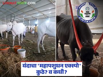 यंदा राज्यस्तरावरील महापशुधन एक्स्पो 'या' जिल्ह्यात आयोजित होणार; ५.८४ कोटी खर्चास मान्यता - Marathi News | This year the state level Maha pasudhan Expo will be organized in 'this' district; 5.84 crores approved for expenditure | Latest News at Lokmat.com