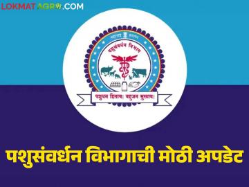 पशुसंवर्धन व दुग्धव्यवसाय विभागाच्या पुनर्रचनेनंतर होतायत हे दोन महत्वपूर्ण निर्णय; जाणून घ्या सविस्तर - Marathi News | These two important decisions are being taken after the reorganization of the Animal Husbandry and Dairying Department; Know the details | Latest News at Lokmat.com पशुसंवर्धन व दुग्धव्यवसाय विभागाच्या पुनर्रचनेनंतर होतायत हे दोन महत्वपूर्ण निर्णय; जाणून घ्या सविस्तर - Marathi News | These two important decisions are being taken after the reorganization of the Animal Husbandry and Dairying Department; Know the details | Latest News at Lokmat.com