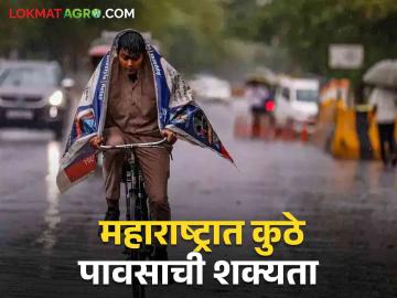 Maharashtra Rain Update : राज्यात काही ठिकाणी मुसळधार, काही भाग कोरडाच, सर्वदूर पाऊस कधी?  - Marathi News | Latest News Heavy rain in some places, some parts dry When does it rain in Maharashtra | Latest News at Lokmat.com