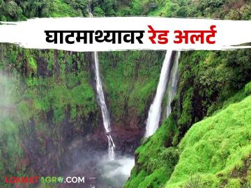 Maharashtra Weather Update: पुढील तीन दिवस राज्यात या जिल्ह्यांत पडणार असा पाऊस.. वाचा सविस्तर - Marathi News | Maharashtra Weather Update: Rain will fall in these districts for the next three days in the state.. Read in detail | Latest News at Lokmat.com