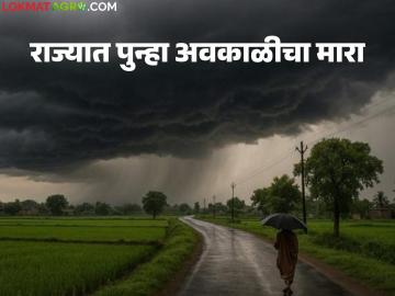 पुढील पाच दिवस राज्यातील 'या' भागात वीजांच्या कडकडाटासह वादळी पाऊस पडणार पुढील पाच दिवस राज्यातील 'या' भागात वीजांच्या कडकडाटासह वादळी पाऊस पडणार