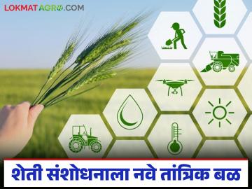 MahaKrushi Policy : शेतीत तंत्रज्ञानाची क्रांती; अकोला कृषी विद्यापीठात 'एआय' इन्क्युबेशन सेंटर - Marathi News | latest news MahaKrushi Policy: Technological revolution in agriculture; AI Incubation Center at Akola Agricultural University | Latest News at Lokmat.com MahaKrushi Policy : शेतीत तंत्रज्ञानाची क्रांती; अकोला कृषी विद्यापीठात 'एआय' इन्क्युबेशन सेंटर - Marathi News | latest news MahaKrushi Policy: Technological revolution in agriculture; AI Incubation Center at Akola Agricultural University | Latest News at Lokmat.com