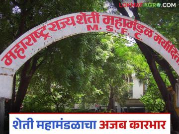 आकारी पडीक जमिनी शेतकऱ्यांच्या ताब्यात देण्याचा मुंबई उच्च न्यायालयाच्या निर्णय; अंमलबजावणी कधी? - Marathi News | Bombay High Court's decision to hand over waste lands to farmers; When will it be implemented? | Latest News at Lokmat.com आकारी पडीक जमिनी शेतकऱ्यांच्या ताब्यात देण्याचा मुंबई उच्च न्यायालयाच्या निर्णय; अंमलबजावणी कधी? - Marathi News | Bombay High Court's decision to hand over waste lands to farmers; When will it be implemented? | Latest News at Lokmat.com