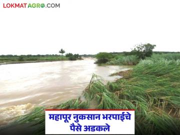 ई-केवायसी व खाते मिसमॅचचा घोळ; शेतकऱ्यांचे अतिवृष्टी नुकसानभरपाईचे २७७ कोटी अडकले - Marathi News | E-KYC and account mismatch; Farmers heavy rain compensation worth Rs 277 crore stuck | Latest News at Lokmat.com