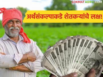 Maharashtra Budget 2026 : अर्थसंकल्पाकडे शेतकऱ्यांचे लक्ष; कर्जमाफी, अनुदानावर सरकार काय निर्णय घेणार? वाचा सविस्तर - Marathi News | latest news Maharashtra Budget 2026: Farmers' attention to the budget; What decision will the government take on loan waivers, subsidies? Read in detail | Latest News at Lokmat.com Maharashtra Budget 2026 : अर्थसंकल्पाकडे शेतकऱ्यांचे लक्ष; कर्जमाफी, अनुदानावर सरकार काय निर्णय घेणार? वाचा सविस्तर - Marathi News | latest news Maharashtra Budget 2026: Farmers' attention to the budget; What decision will the government take on loan waivers, subsidies? Read in detail | Latest News at Lokmat.com