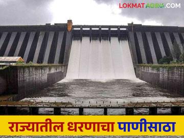 Maharashtra Dam Storage : कुठे ओवरफ्लो तर कुठे अध्याप ही मृत पाणीसाठा; वाचा राज्याच्या पाणीसाठ्याची अद्यावत माहिती - Marathi News | Maharashtra Dam Storage : Some overflow and some dead water storage; Read updates on state water resources | Latest News at Lokmat.com Maharashtra Dam Storage : कुठे ओवरफ्लो तर कुठे अध्याप ही मृत पाणीसाठा; वाचा राज्याच्या पाणीसाठ्याची अद्यावत माहिती - Marathi News | Maharashtra Dam Storage : Some overflow and some dead water storage; Read updates on state water resources | Latest News at Lokmat.com