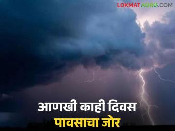 Maharashtra Weather : सिंधुदुर्गला ऑरेंज तर रत्नागिरीत रेड अलर्ट; वाचा काय सांगताहेत हवामान तज्ञ - Marathi News | Maharashtra Weather: Orange alert for Sindhudurg and red alert for Ratnagiri; Read what weather experts are saying | Latest News at Lokmat.com