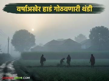 Cold Wave in Maharashtra : उत्तरेतून थंड वाऱ्यांचा मारा; राज्यात वर्षाअखेर हाडं गोठवणारी थंडी वाचा सविस्तर - Marathi News | latest news Cold Wave in Maharashtra: Cold winds from the north; Bone-chilling cold in the state at the end of the year Read in detail | Latest weather News at Lokmat.com