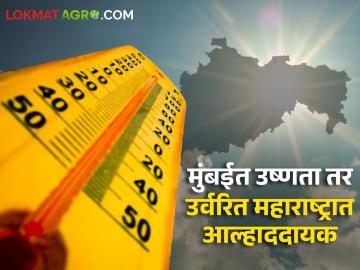 Weather Update : कुठे उष्णता, कुठे अवकाळी पावसाची शक्यता, संपूर्ण महाराष्ट्रासाठीचा हवामान अंदाज  - Marathi News | Latest news weather update Unseasonal rain in Maharashtra for the next 5 days from today | Latest News at Lokmat.com