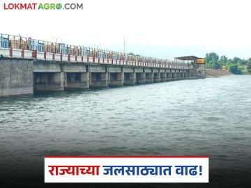 Maharashtra Dam Water Level : राज्यातील धरणांमध्ये समाधानकारक पाणीसाठा वाचा सविस्तर - Marathi News | latest news Maharashtra Dam Water Level: Satisfactory water storage in dams in the state Read in detail | Latest News at Lokmat.com