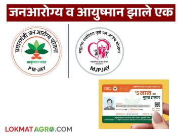 पाच लाखांपर्यंतचे आरोग्य कवच मिळणार आता 'या' एकाच कार्डावर; कसे काढायचे कार्ड? वाचा सविस्तर - Marathi News | Now you can get health cover up to Rs 5 lakh on a single card; How to get the card? Read in detail | Latest News at Lokmat.com पाच लाखांपर्यंतचे आरोग्य कवच मिळणार आता 'या' एकाच कार्डावर; कसे काढायचे कार्ड? वाचा सविस्तर - Marathi News | Now you can get health cover up to Rs 5 lakh on a single card; How to get the card? Read in detail | Latest News at Lokmat.com