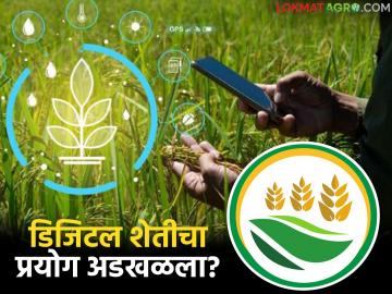 Mahavistar AI App : एआय ॲप तयार, पण शेतकरी दूरच; डिजिटल शेतीचा प्रयोग अडखळला? - Marathi News | latest news Mahavistar AI App: AI app ready, but farmers far away; Digital farming experiment stalled? | Latest News at Lokmat.com