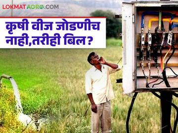 Mahavitaran Billing Mistake : कृषी वीज जोडणीच नाही, तरीही बिल? शेतकऱ्याचा धक्कादायक अनुभव समोर - Marathi News | latest news Mahavitaran Billing Mistake: No agricultural electricity connection, yet bill? Farmer's shocking experience revealed | Latest News at Lokmat.com Mahavitaran Billing Mistake : कृषी वीज जोडणीच नाही, तरीही बिल? शेतकऱ्याचा धक्कादायक अनुभव समोर - Marathi News | latest news Mahavitaran Billing Mistake: No agricultural electricity connection, yet bill? Farmer's shocking experience revealed | Latest News at Lokmat.com