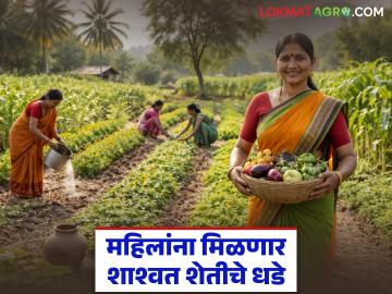 राज्यातील 'या' नऊ जिल्ह्यात ५००० हून अधिक महिला शेतकऱ्यांना मिळणार शाश्वत शेतीचे प्रशिक्षण - Marathi News | More than 5000 women farmers from these nine districts of the state will receive training in sustainable farming | Latest News at Lokmat.com राज्यातील 'या' नऊ जिल्ह्यात ५००० हून अधिक महिला शेतकऱ्यांना मिळणार शाश्वत शेतीचे प्रशिक्षण - Marathi News | More than 5000 women farmers from these nine districts of the state will receive training in sustainable farming | Latest News at Lokmat.com