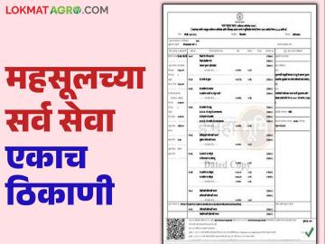 सातबारा दुरुस्ती, फेरफार, मोजणी अर्ज अशा १५ प्रकारच्या सेवा मिळणार आता एकाच ठिकाणी; सुरु झालंय 'हे' अभियान - Marathi News | 15 types of services like Satbara correction, modification, mojani application will now be available at one place; 'this' campaign has started | Latest News at Lokmat.com