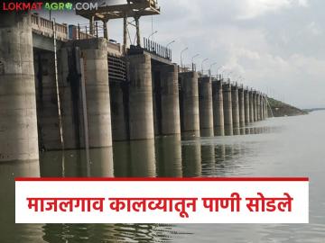 Majalgaon Dam Water Release : माजलगाव कालव्याचे पाणी सुरू; रब्बी-उन्हाळी पिकांना मोठा फायदा - Marathi News | latest news Majalgaon Dam Water Release: Majalgaon Canal water released; Big benefit for Rabi-Summer crops | Latest News at Lokmat.com