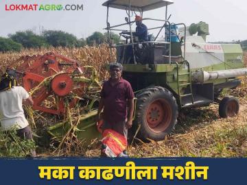 Maka Kadani Yantra : मका काढणीला मजूर मिळेनात? आली अद्यावत मशीन - Marathi News | Maka Kadani Yantra : There is no labor for maize harvesting and now used machine for harvesting | Latest News at Lokmat.com