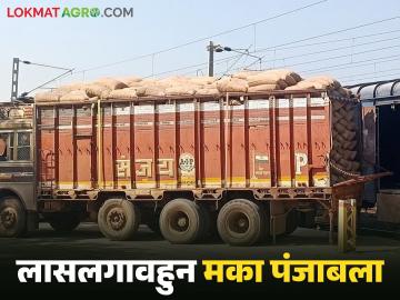 Maka Export : पंजाबमधील पोल्ट्रीउद्योगासाठी लासलगावहुन मका; 2685 टन रेल्वेने रवाना - Marathi News | Latest News Maka Niryat Maize from Lasalgaon for poultry industry in Punjab; 2685 tons left by train | Latest News at Lokmat.com