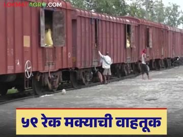 Agriculture News : भुसावळ रेल्वे विभागात एकाच महिन्यात 59 रेक मक्याची वाहतूक, वाचा सविस्तर  - Marathi News | Latest News 59 rakes of maize transported in December month in Bhusawal railway division, read in detail | Latest News at Lokmat.com