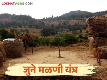 Paddy crop Threshing : 'खळे' म्हणजे जुन्या काळातील मळणी यंत्रच, आता यंत्राचीच धामधूम, वाचा सविस्तर  - Marathi News | Latest News Paddy crop Threshing Khale means threshing machine of old times read in detail  | Latest News at Lokmat.com