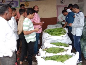 अंधश्रद्धेतून शेतकऱ्यांनी पाठ फिरवलेला मालेगावचा शेवगा परदेशात कसा पोहोचला? - Marathi News | Malegaon farmers are exporting drumstick crop to bangaldesh and bhutan | Latest News at Lokmat.com