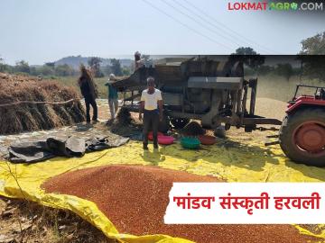 Mandav Sankruti : एकेकाळी मांडवाखाली विसावणारा शेतकरी… आज कुटाराच उरलाय हातात! - Marathi News | latest news Mandav Sankruti: The farmer who once rested under a canopy… today only a shovel is left in his hand! | Latest News at Lokmat.com