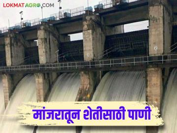 Manjara Dam : कोरड्या पडलेल्या बॅरेजेसमध्ये मांजरा प्रकल्पातून उन्हाळी पिकांना सोडले पाणी - Marathi News | Manjara Dam: Water released from Manjara project for summer crops in dry barrages | Latest News at Lokmat.com