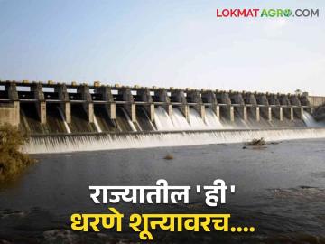 Maharashtra Dam Storage : राज्यातील 'ही' धरणे शून्यावरच, वाचा कुठल्या धरणांत किती पाणीसाठा झाला? - Marathi News | Latest News Majalgaon, Manjra, Khadakpurna dams in maharashtra zero percent see todays dam storage of maharashtra | Latest News at Lokmat.com Maharashtra Dam Storage : राज्यातील 'ही' धरणे शून्यावरच, वाचा कुठल्या धरणांत किती पाणीसाठा झाला? - Marathi News | Latest News Majalgaon, Manjra, Khadakpurna dams in maharashtra zero percent see todays dam storage of maharashtra | Latest News at Lokmat.com