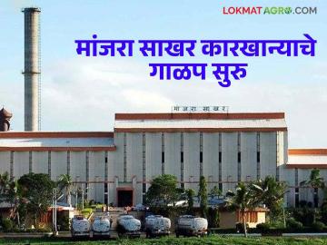 Sugar Factory : मांजरा साखर कारखान्याच्या गळीत हंगामास सुरुवात; सौर ऊर्जा प्रकल्पास प्रारंभ - Marathi News | Sugar Factory : The season begins at Manjra Sugar Factory ; Start of solar power project | Latest News at Lokmat.com