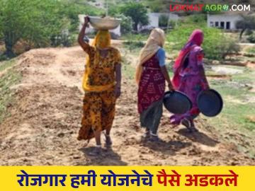 Rojgar Hami Yojna : केंद्र सरकारने राज्यातील मनरेगा मजुरांचे 893 कोटी थकवले, जाणून घ्या सविस्तर  - Marathi News | Latest News Rojgar Hami Yojna Central government has paid 893 crores to MNREGA laborers in maharashtra know in detail  | Latest News at Lokmat.com