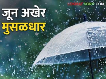 Weather Update Maharashtra ३० जूनपर्यंत महाराष्ट्रात या जिल्ह्यात जोरदार पावसाची शक्यता - Marathi News | Weather Update Maharashtra Heavy rain is likely in this district in Maharashtra till June 30 | Latest News at Lokmat.com