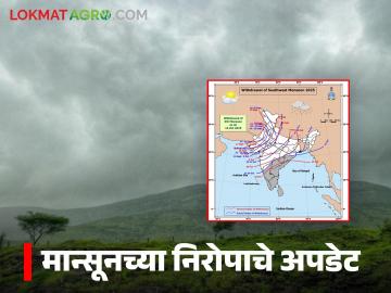 उद्यापासून ते नरकचतुर्थीपर्यंत पावसाची शक्यता, वाचा जिल्हानिहाय कुठल्या तारखेला कुठे पाऊस?  - Marathi News | latest news Maharashtra Rain chances from October 15 to Narak Chaturthi, read district-wise rain alert | Latest News at Lokmat.com