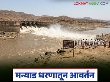 Manyad Dam : मन्याड धरणातून यंदा उन्हाळी हंगामासाठी तिसरे आवर्तन, 'या' 22 गावांना मिळणार पाणी  - Marathi News | Latest newsthird round of water from Manyad Dam will be released for the summer season | Latest News at Lokmat.com