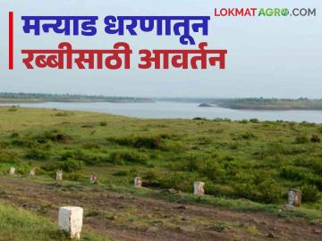agriculture News : मन्याड धरणातून रब्बीसाठी 15 डिसेंबरनंतर पहिले आवर्तन, वाचा सविस्तर  - Marathi News | Latest News agriculture News First revision after December 15 for Rabi from Manyad Dam, read in detail  | Latest News at Lokmat.com