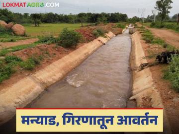 Agriculture News : मन्याड, गिरणातून आवर्तने, जळगावच्या सहा तालुक्यातील शेतीला संजीवनी, वाचा सविस्तर - Marathi News | Latest News Discharge from Manyad, Girna dam for six talukas of Jalgaon district | Latest News at Lokmat.com
