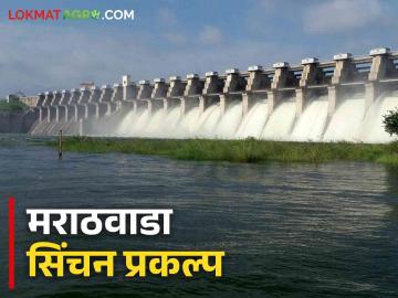 Irrigation projects : मराठवाड्यातील सिंचन प्रकल्प 'इतके' हेक्टर क्षेत्र येणार ओलिताखाली - Marathi News | Irrigation projects : Irrigation projects in Marathwada will cover 'so many' hectares | Latest News at Lokmat.com