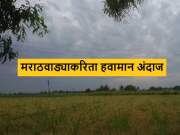 Marathwada Rain Update : पुढील चार दिवस मराठवाड्यात पाऊस कसा असेल? जाणून घ्या सविस्तर  - Marathi News | Latest News Marathwada Rain Update How will the rain be in Marathwada for next four days Know in detail  | Latest News at Lokmat.com