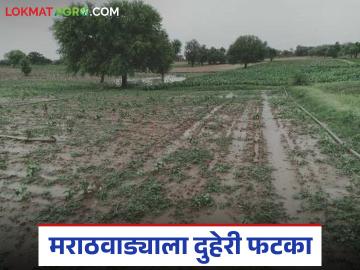 Crop Damage : तीन महिन्यांत पाच लाख हेक्टरवरील पिकांची माती; पंचनाम्यांची गती मंदावली वाचा सविस्तर - Marathi News | latest news Crop Damage: Crop soil on five lakh hectares in three months; Panchnamas slow down, read in detail | Latest News at Lokmat.com