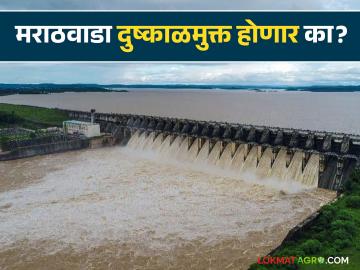 Drought in Marathwada : मराठवाड्यातील दुष्काळ कायमचा संपणार; 'या' आहेत उपाययोजना - Marathi News | Drought in Marathwada: The drought in Marathwada will end forever; 'These' are the measures | Latest News at Lokmat.com