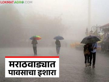 Marathwada Rain Update : शेतकऱ्यांसाठी अलर्ट: मराठवाड्यात पाऊस आणि वादळी वारे वाचा सविस्तर - Marathi News | latest news Marathwada Rain Update: Alert for farmers: Rain and storms in Marathwada Read in detail | Latest News at Lokmat.com Marathwada Rain Update : शेतकऱ्यांसाठी अलर्ट: मराठवाड्यात पाऊस आणि वादळी वारे वाचा सविस्तर - Marathi News | latest news Marathwada Rain Update: Alert for farmers: Rain and storms in Marathwada Read in detail | Latest News at Lokmat.com