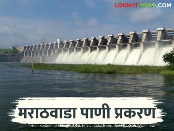 Jayakwadi Dam Water: प्राधिकरणाने जनतेकडून मागितल्या हरकती; असा नोंदवा आक्षेप वाचा सविस्तर - Marathi News | Jayakwadi Dam Water: latest news Authority seeks objections from public; Register objections like this Read in detail | Latest News at Lokmat.com