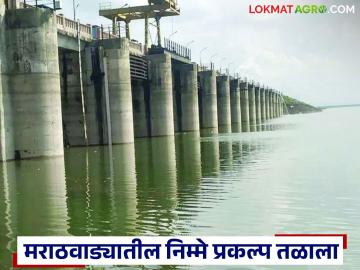 Marathwada Dam Water Level : मराठवाड्यातील निम्मे प्रकल्प तळाला; जायकवाडीचा साठा वाढला तरी चिंता कायम - Marathi News | latest news Marathwada Dam Water Level: Half of the projects in Marathwada have reached the bottom; Jayakwadi's stock has increased, but concerns remain | Latest News at Lokmat.com Marathwada Dam Water Level : मराठवाड्यातील निम्मे प्रकल्प तळाला; जायकवाडीचा साठा वाढला तरी चिंता कायम - Marathi News | latest news Marathwada Dam Water Level: Half of the projects in Marathwada have reached the bottom; Jayakwadi's stock has increased, but concerns remain | Latest News at Lokmat.com