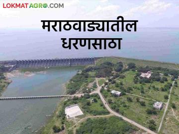 Marathwada Dam Storage : मराठवाड्यातील जायकवाडी धरण किती भरलं? जाणून घ्या सविस्तर  - Marathi News | Latest News Marathwada Dam Storage How much water storage in Jayakwadi Dam of Marathwada Know in detail  | Latest News at Lokmat.com